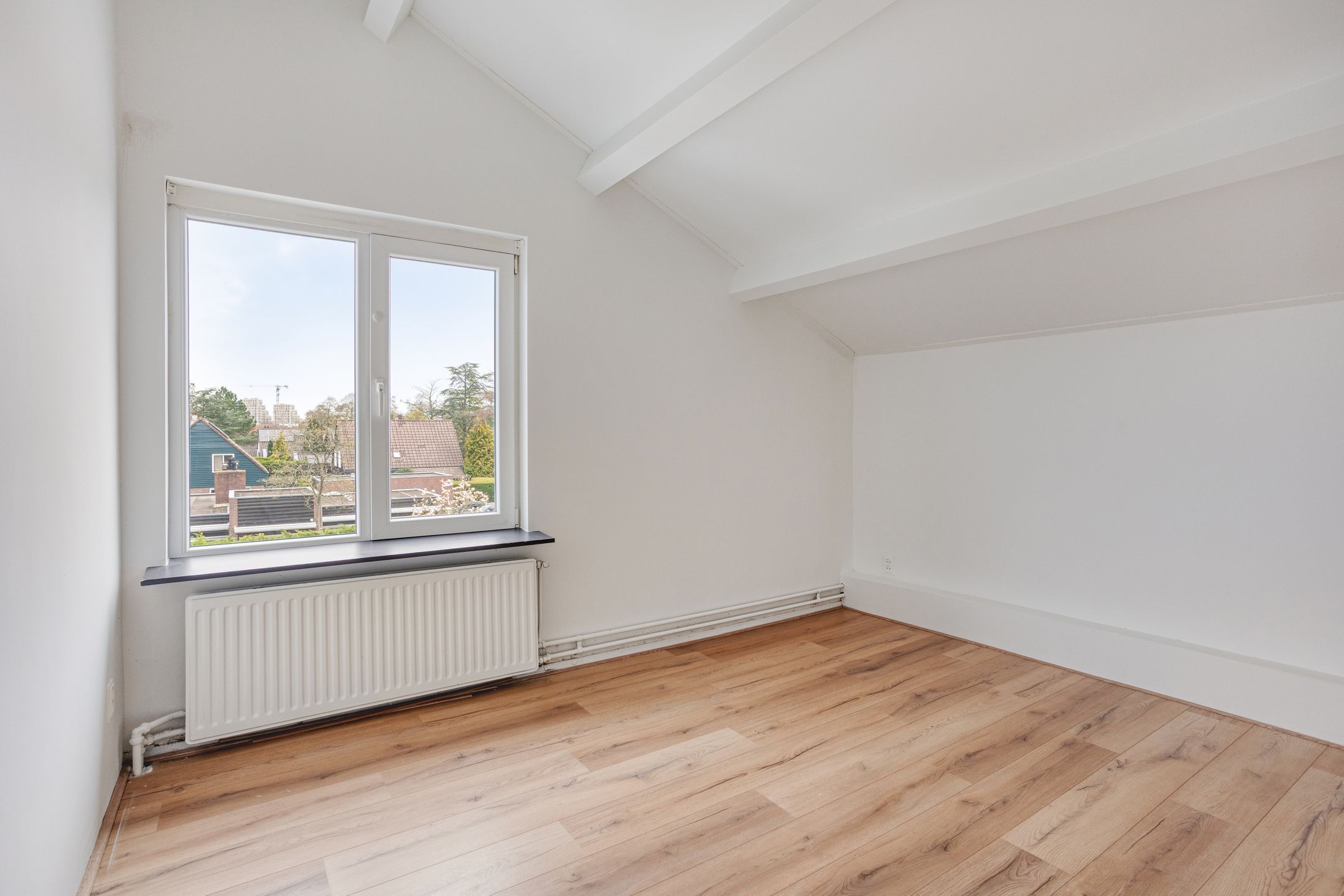 Foto 30 van Moerasvaren 110