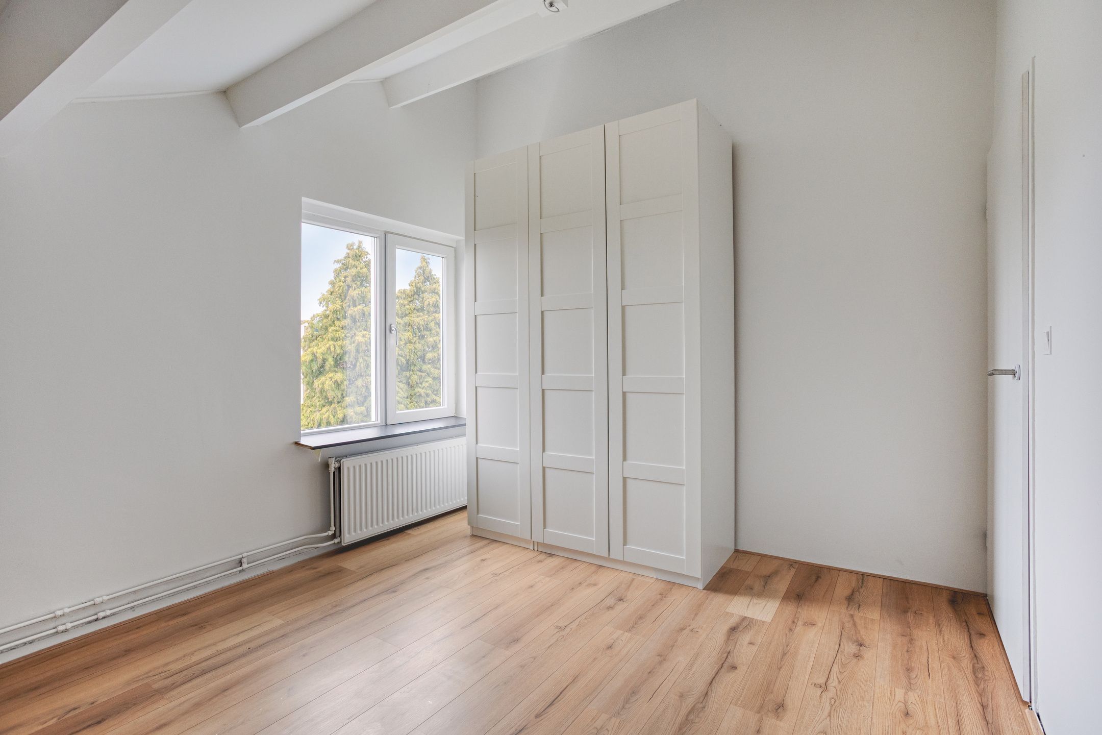 Foto 33 van Moerasvaren 110