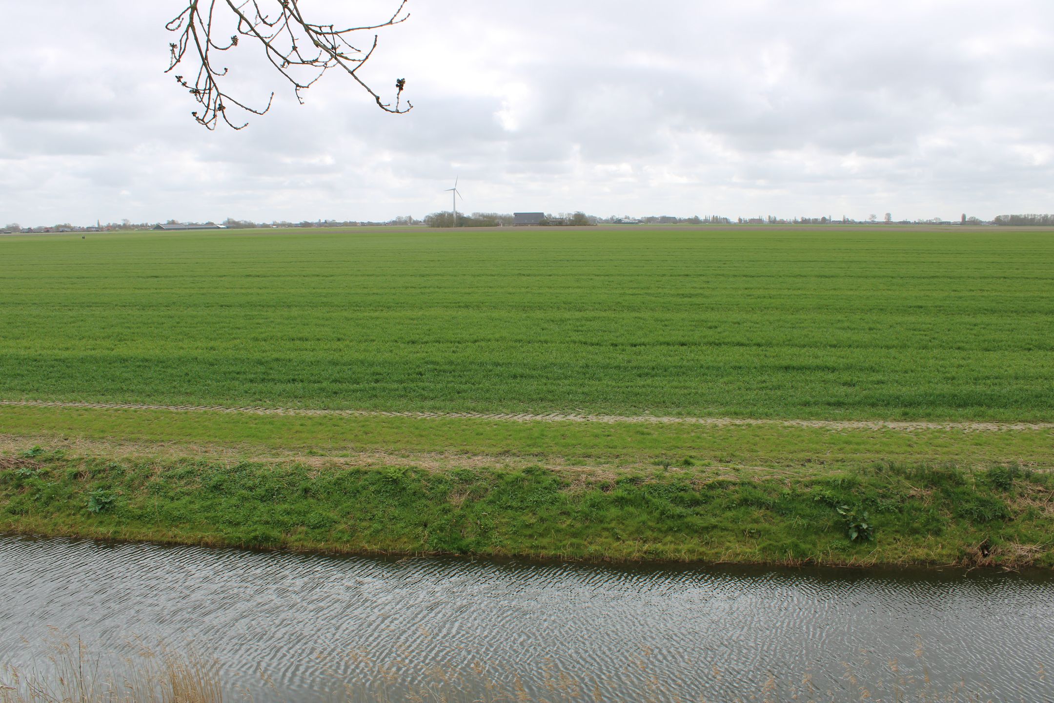 Foto 30 van Oudebildtdijk 44