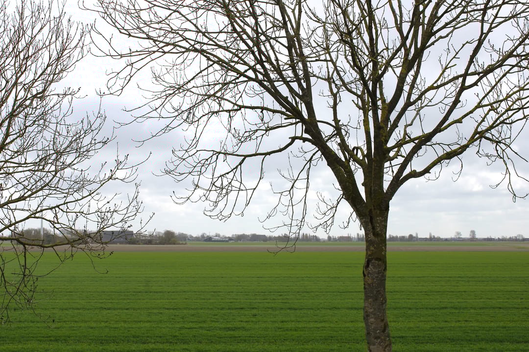 Foto 31 van Oudebildtdijk 44