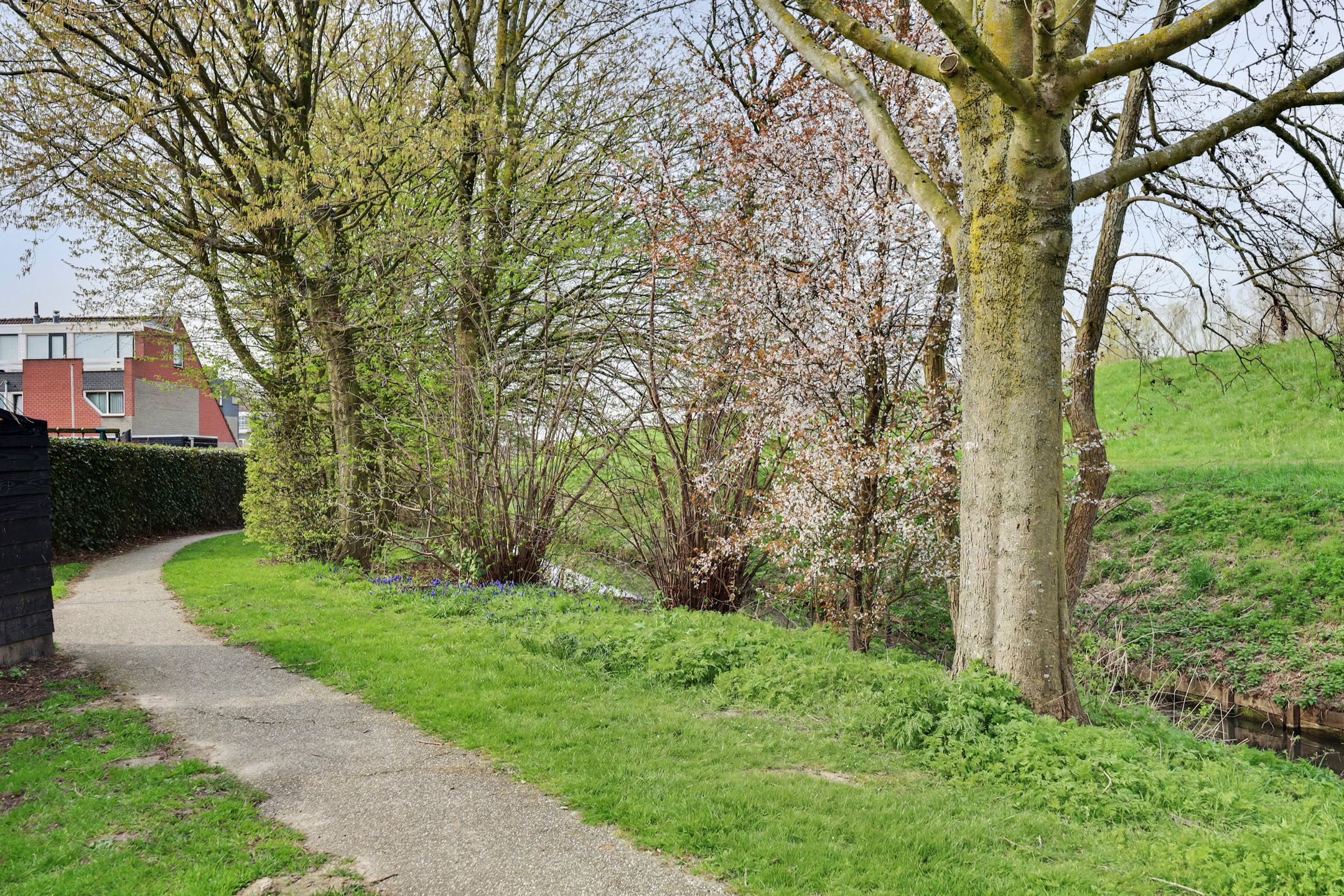 Foto 27 van De Jacht 15