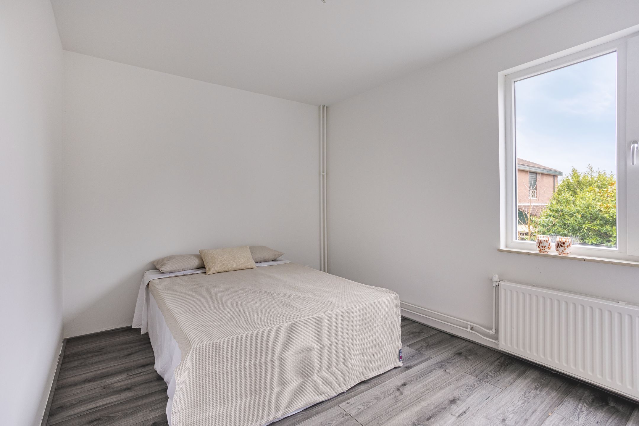 Foto 24 van Moerasvaren 110