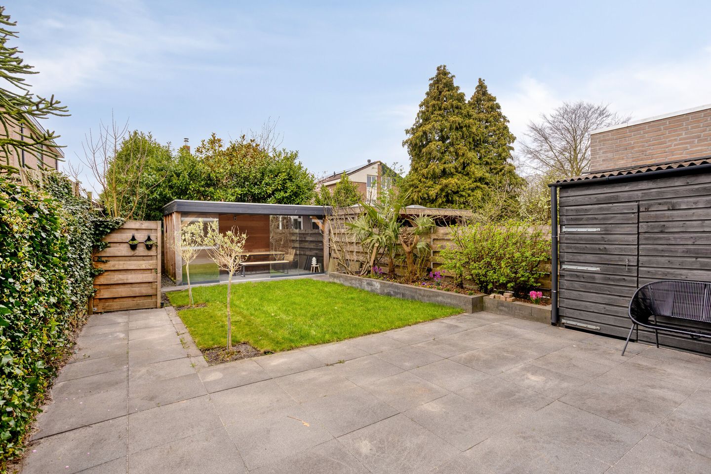 Foto 5 van Moerasvaren 110