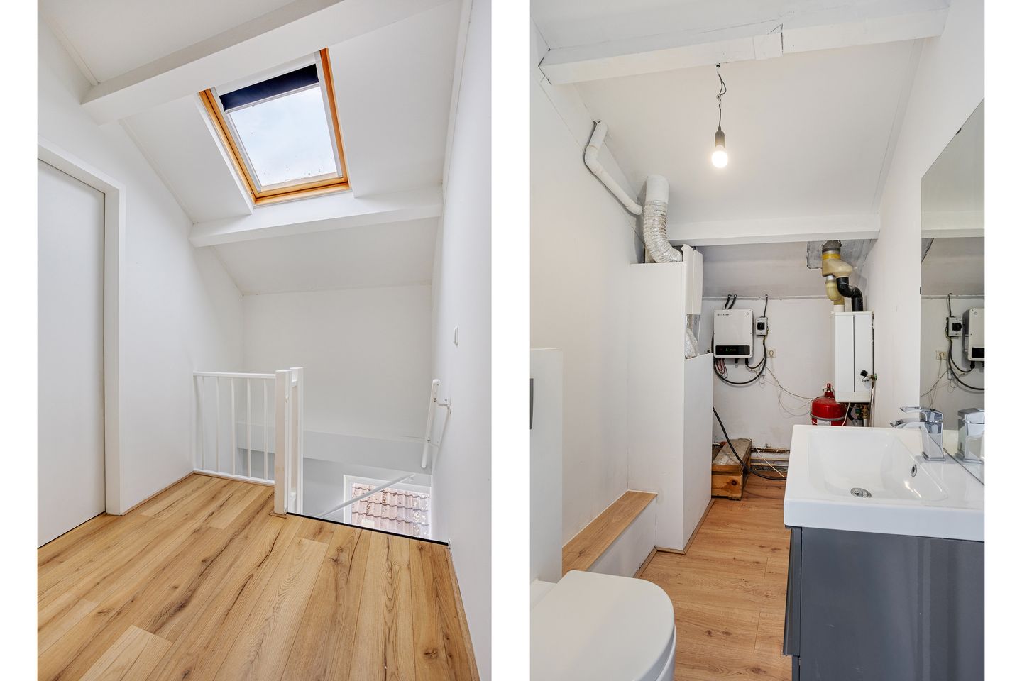 Foto 29 van Moerasvaren 110