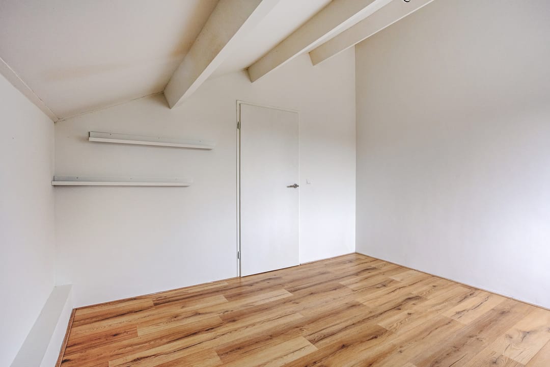 Foto 31 van Moerasvaren 110