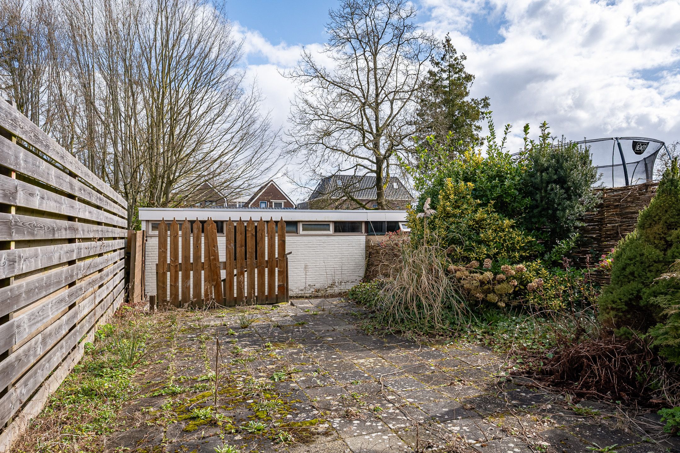 Photo 33 of Treubstraat 21