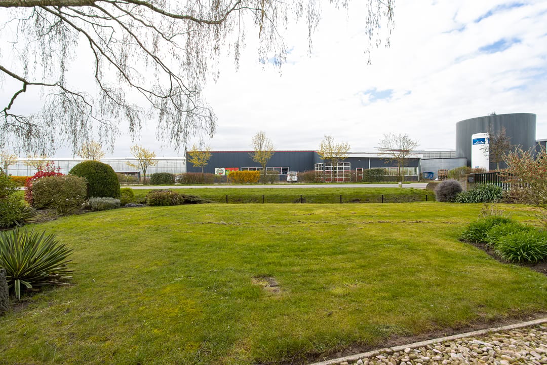 Foto 47 van Nieuwe Tijningen 86