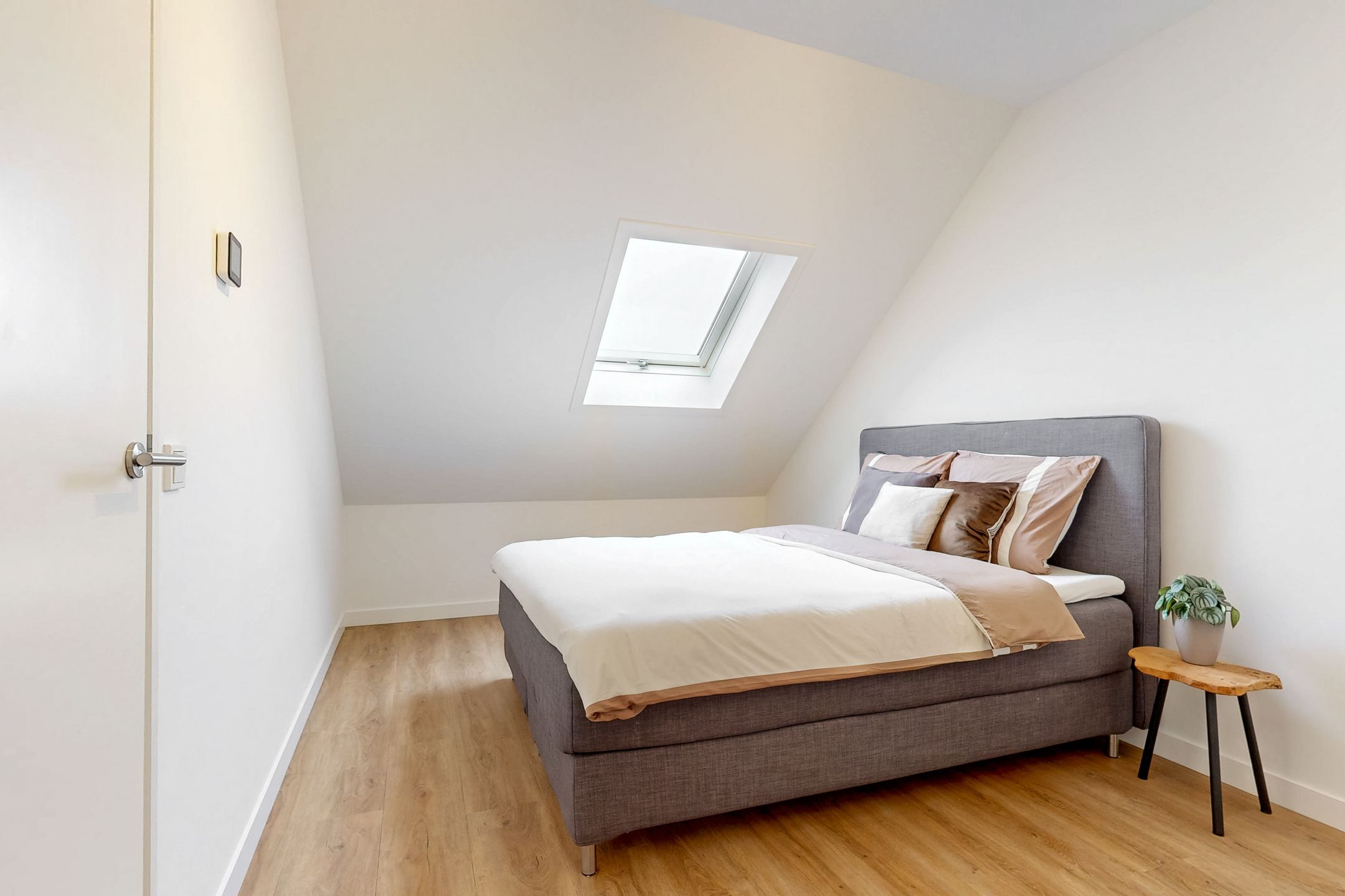 Foto 24 van Rolwolk 10