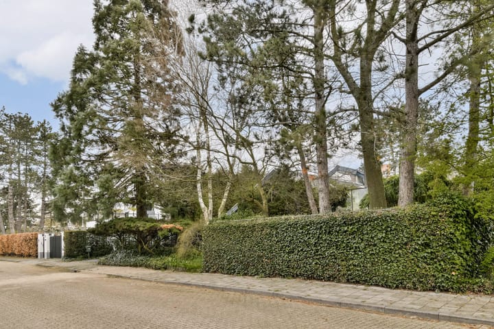 Foto 4 van Prins Alexanderlaan 10