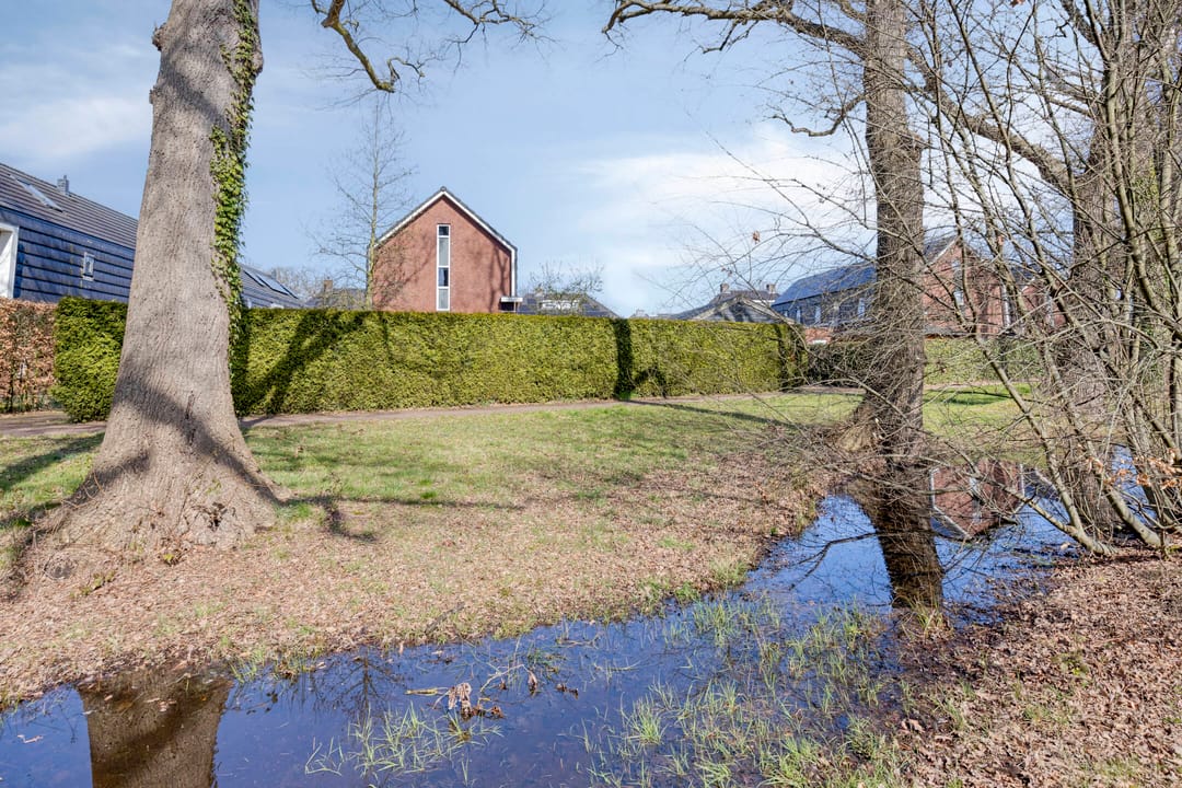 Foto 46 van de Regge 11