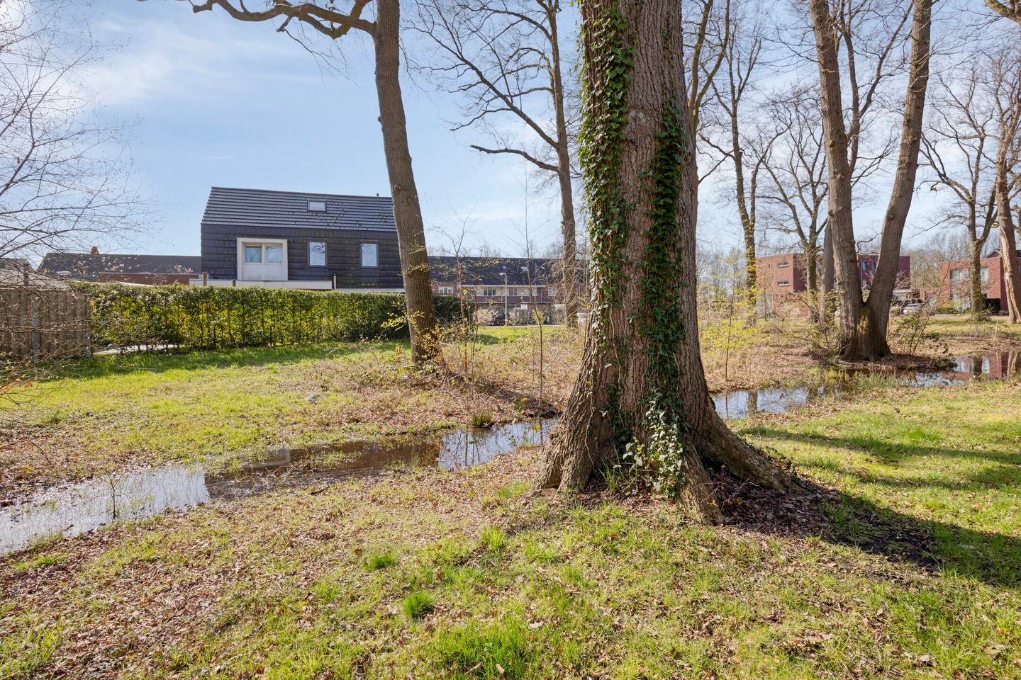 Foto 44 van de Regge 11