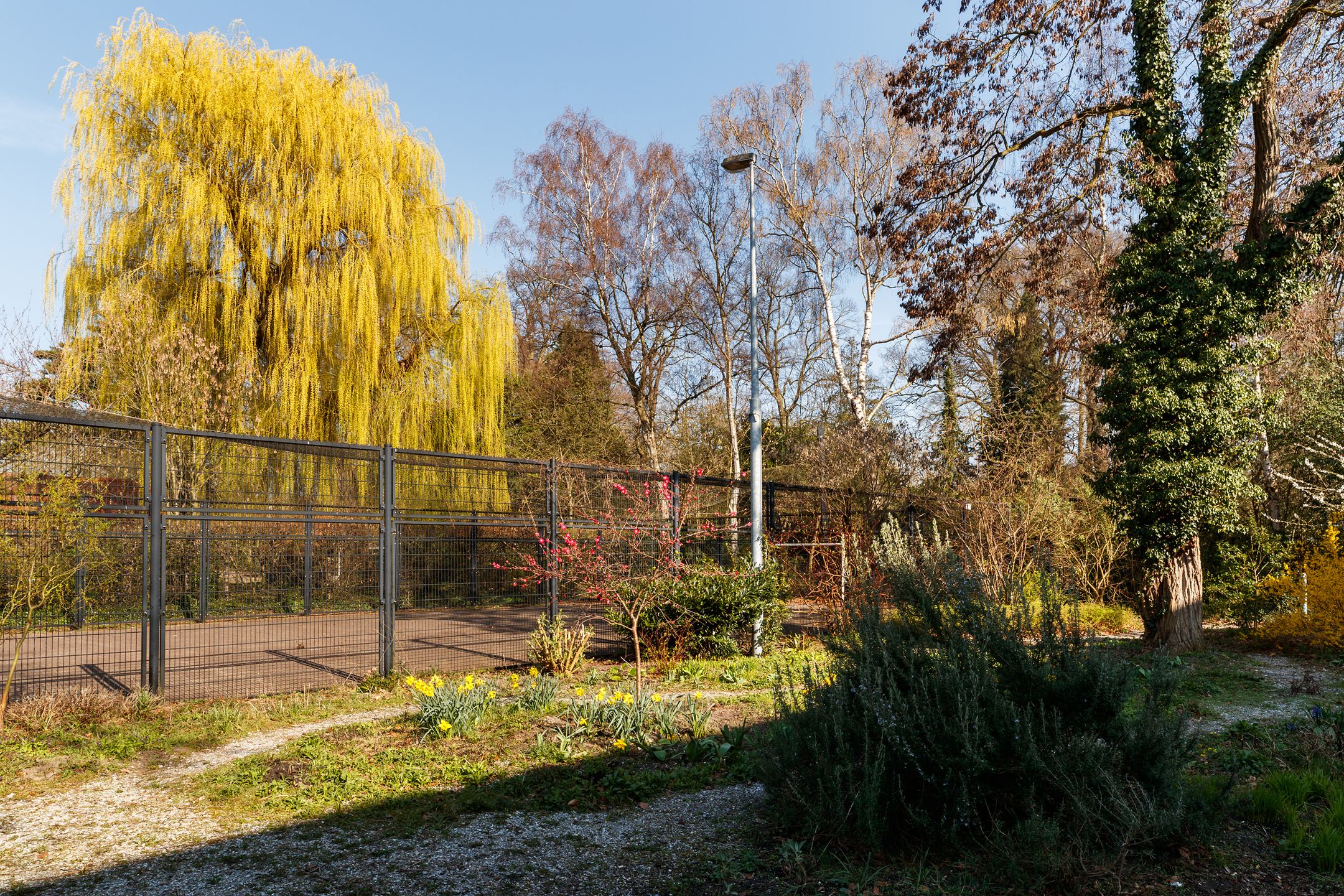 Foto 18 van Laan van Soestbergen 41