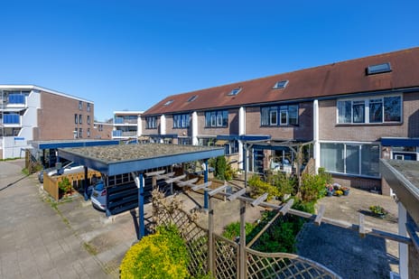 Titus Brandsmahove 86 tertiary image