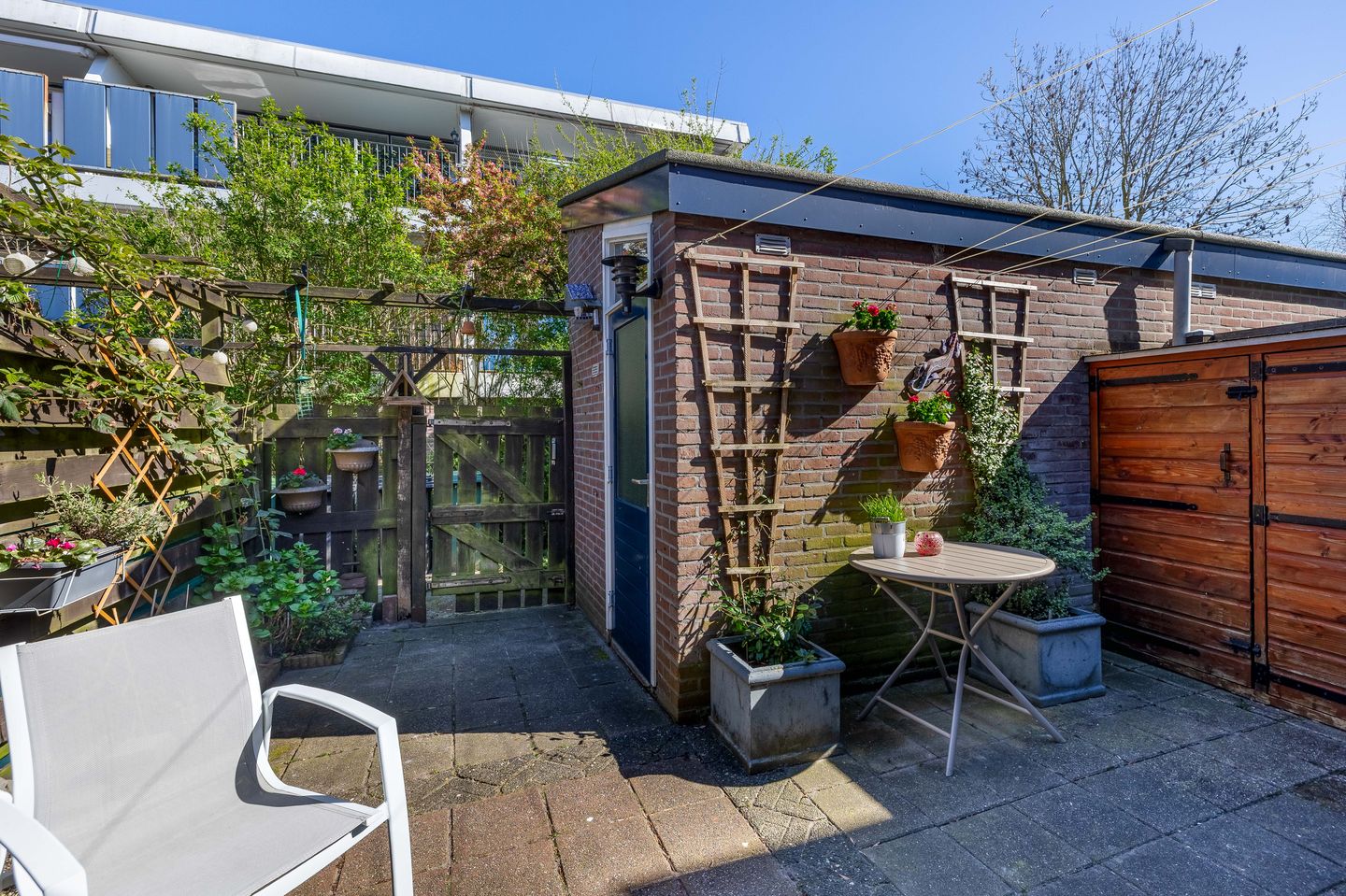 Photo 4 of Titus Brandsmahove 86