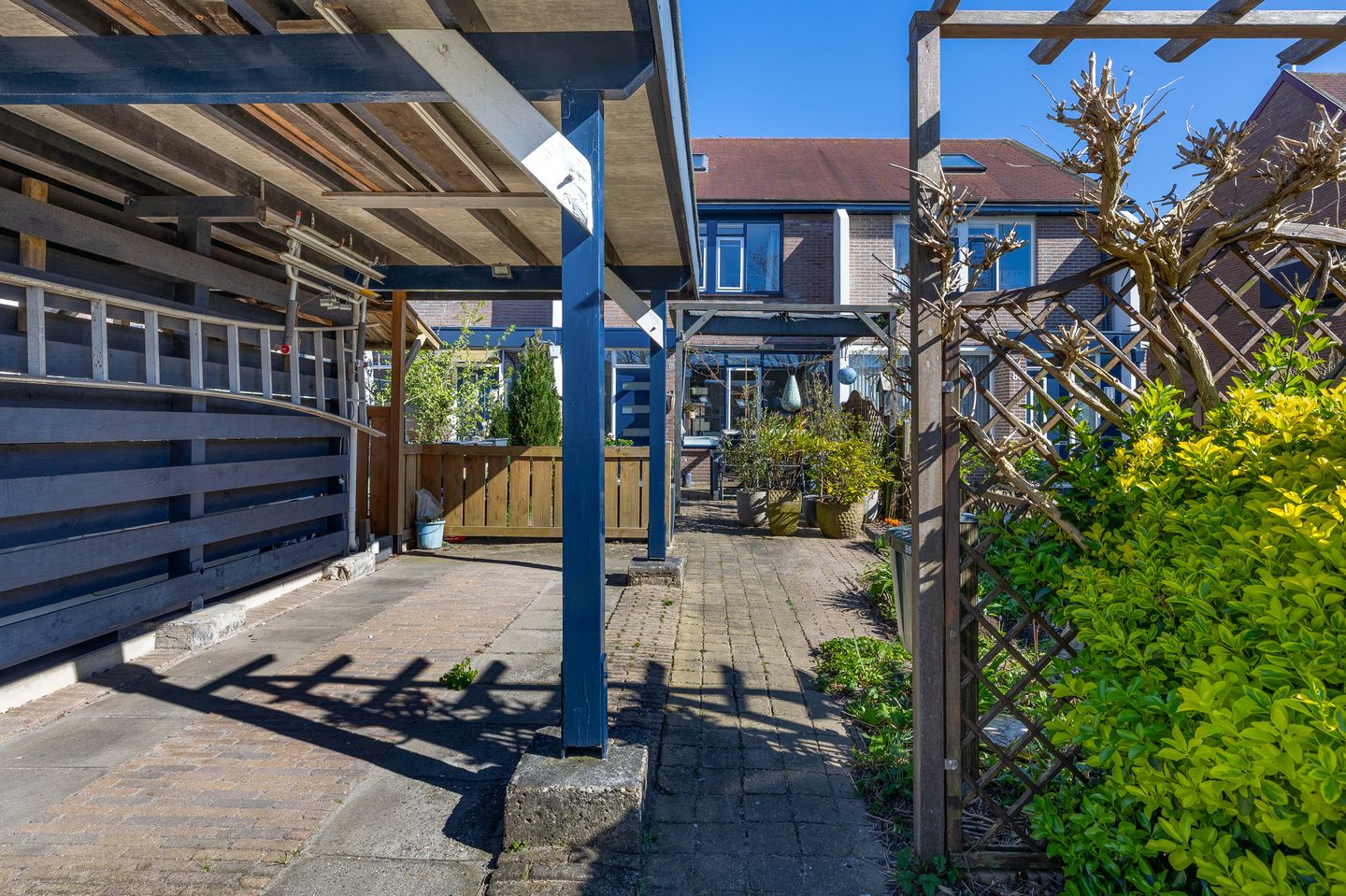 Photo 35 of Titus Brandsmahove 86