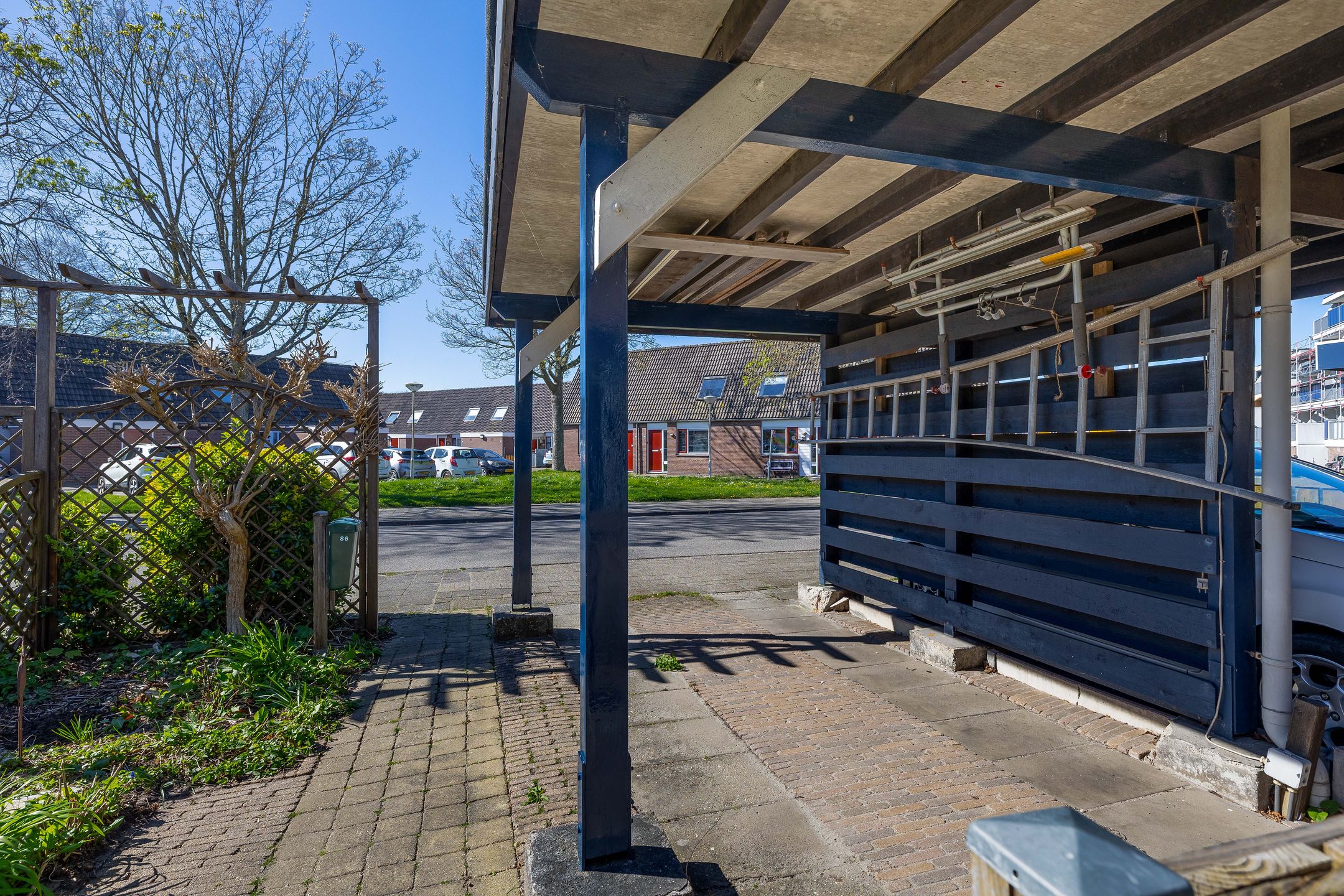 Photo 36 of Titus Brandsmahove 86