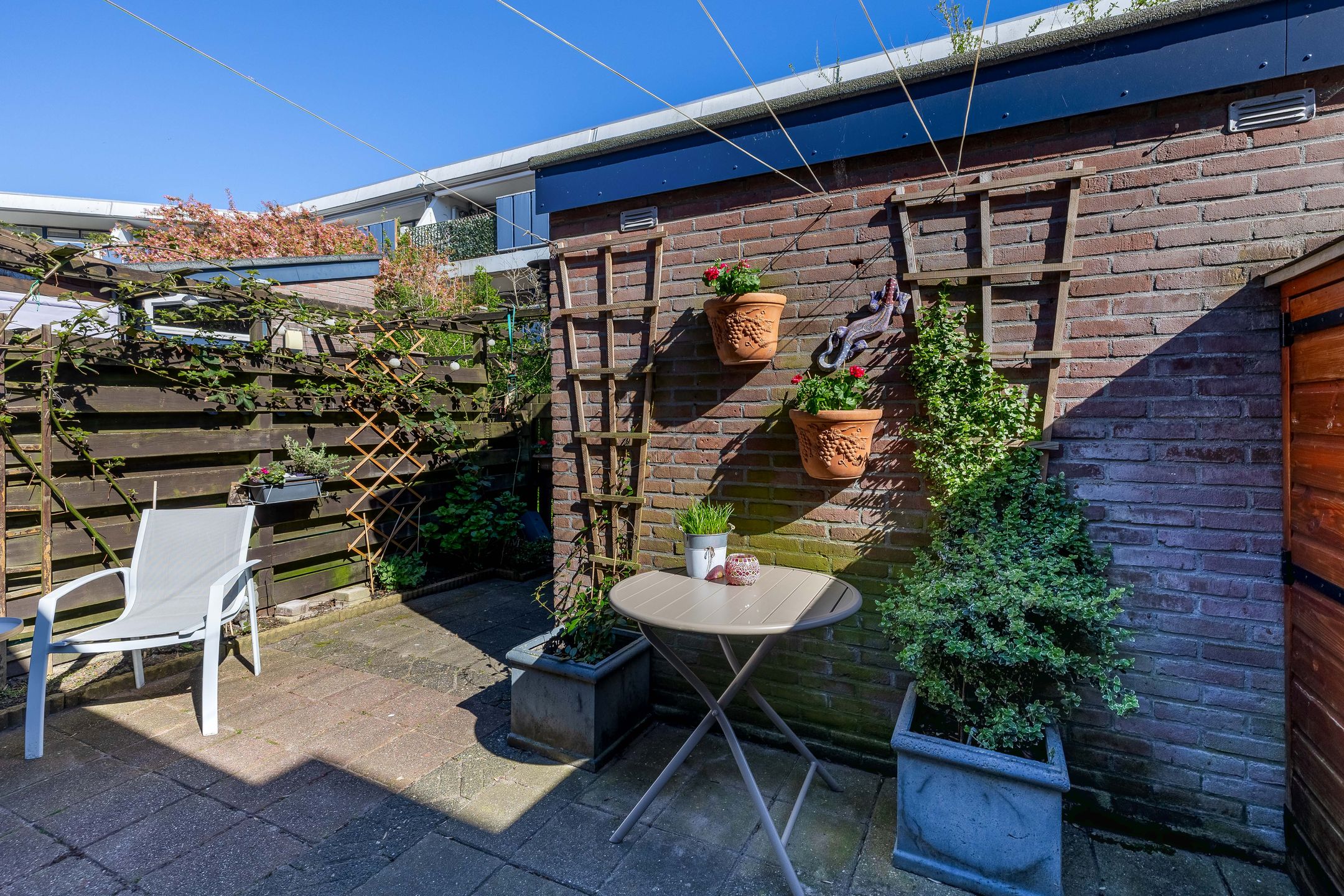 Photo 18 of Titus Brandsmahove 86