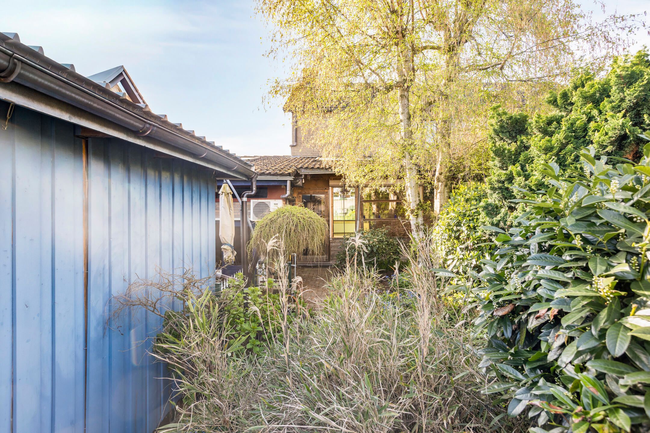 Foto 27 van Shomonstraat 20