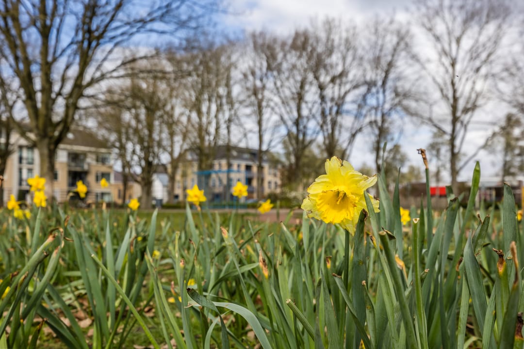 Foto 62 van Troostveld 10