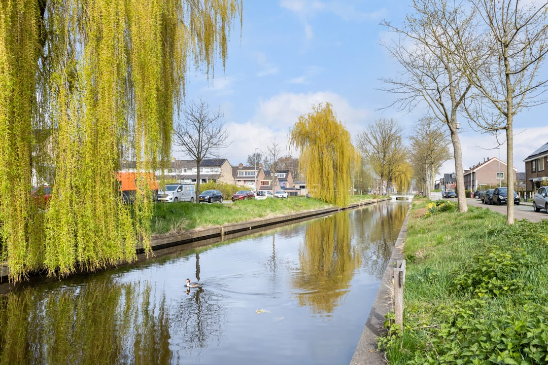 Foto 47 van Primulastraat 20