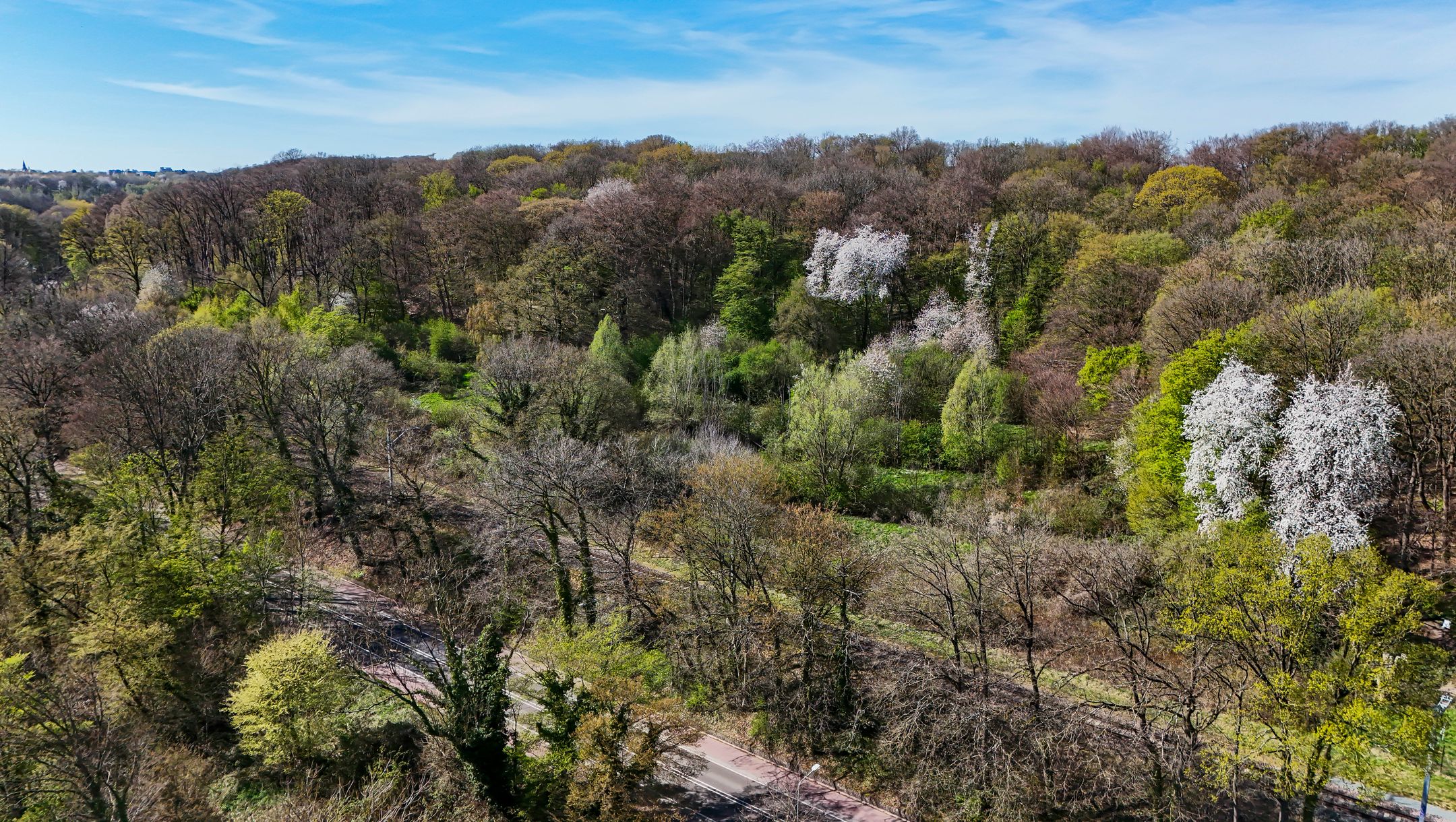 Photo 27 of Wackersstraat 80