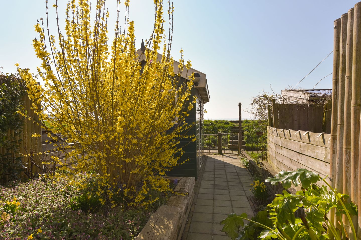 Photo 25 of Westerdijk 12