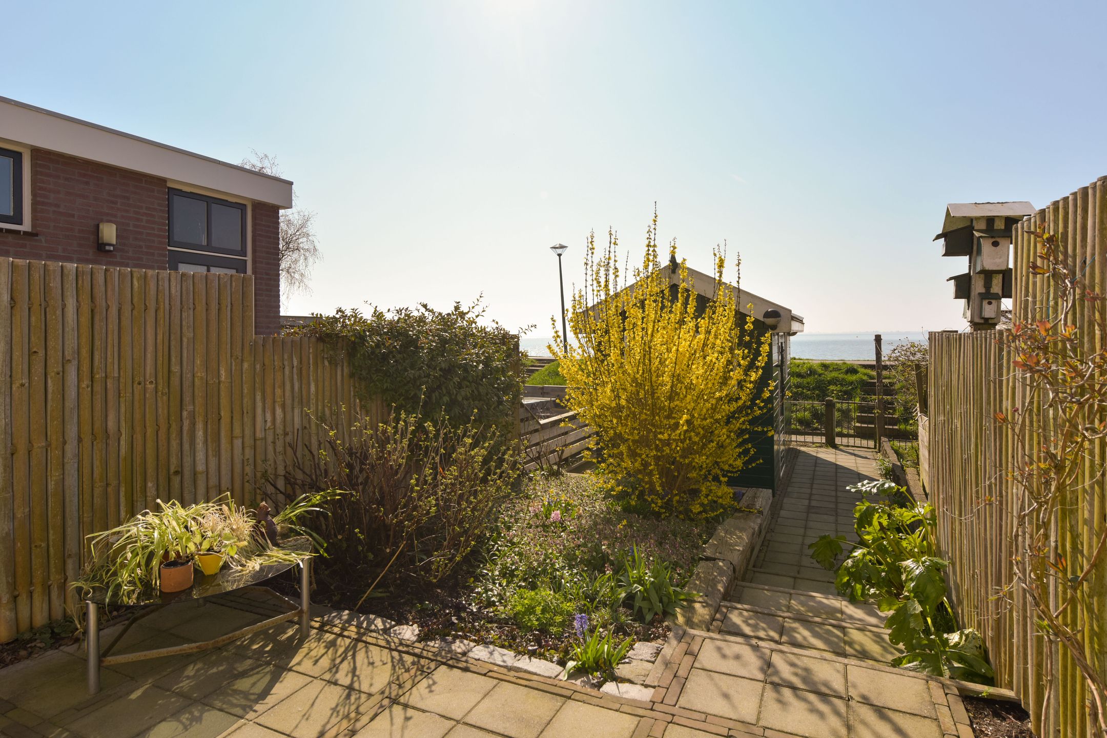 Photo 24 of Westerdijk 12