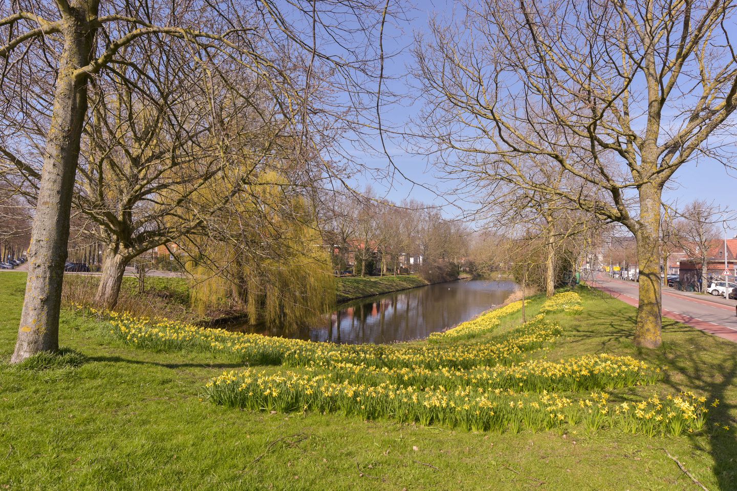 Photo 35 of Westerdijk 12