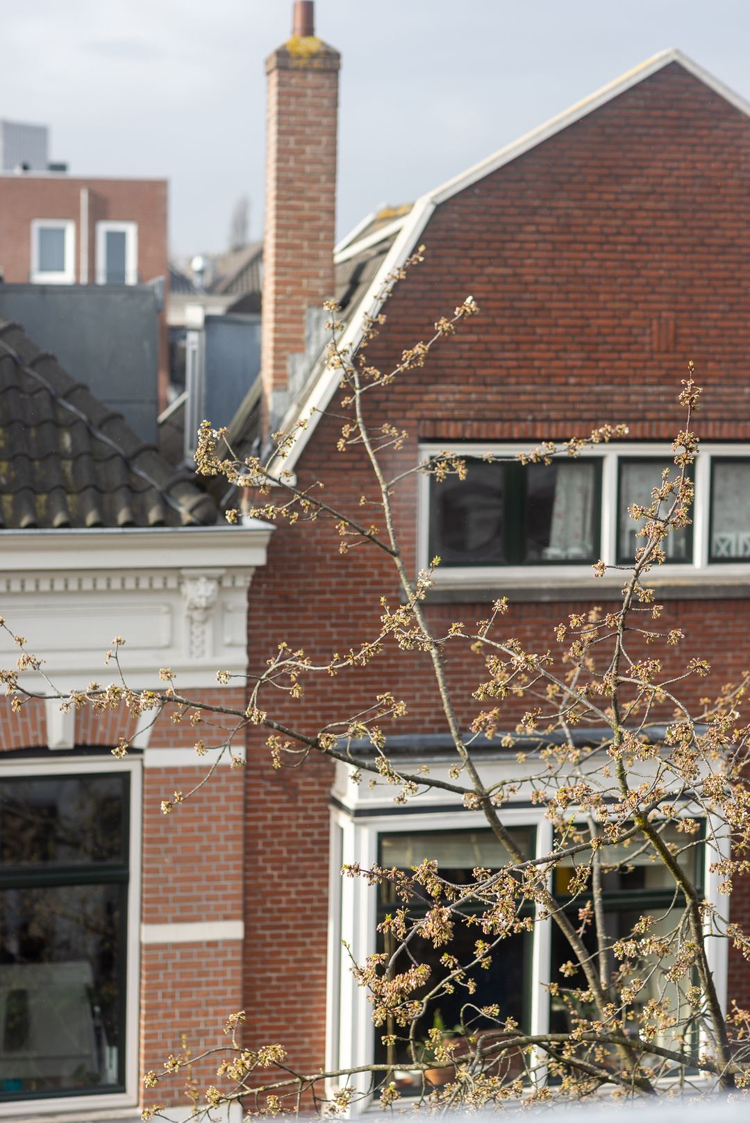 Photo 37 of Gerard Scholtenstraat 31