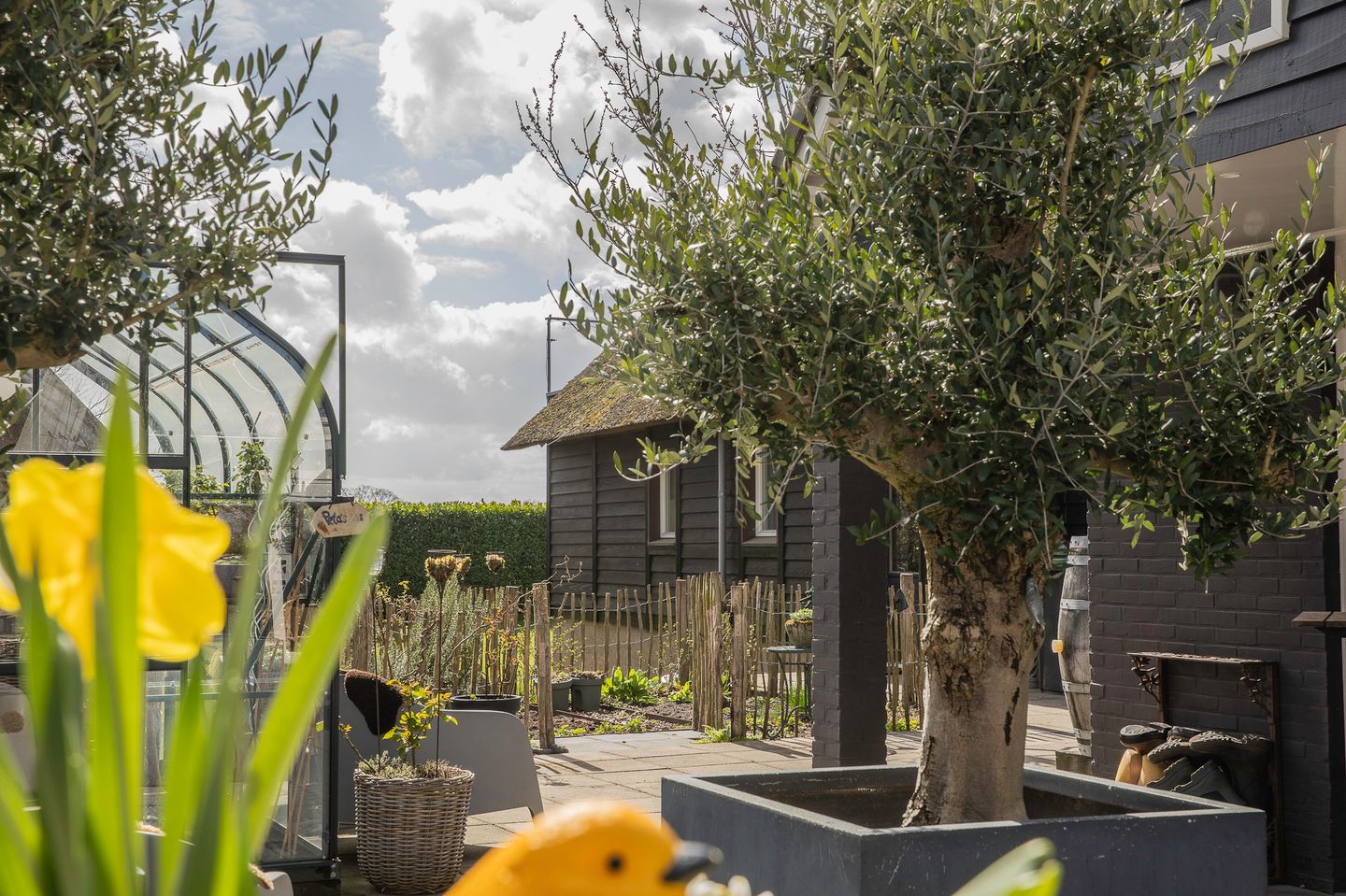 Photo 44 of Vriezerweg 19