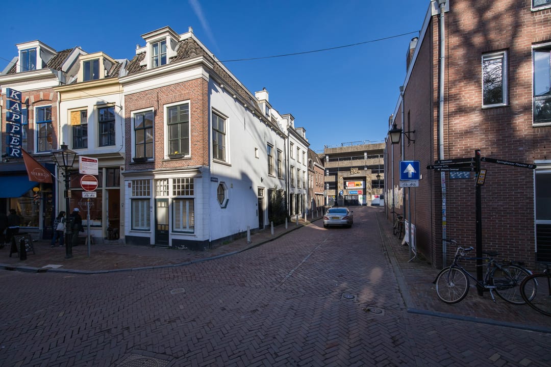 Foto 37 van Springweg 24