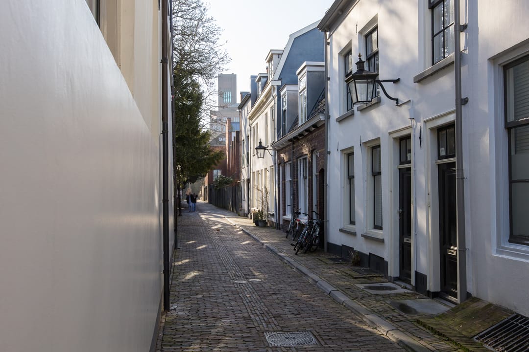 Foto 41 van Springweg 24