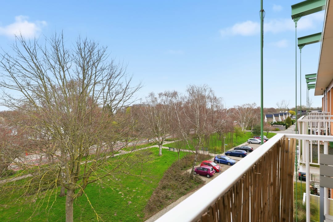 Foto 23 van Bellinistraat 40