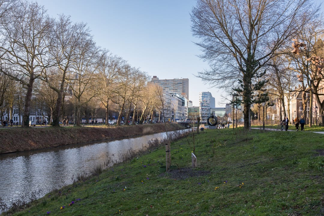 Foto 43 van Springweg 24