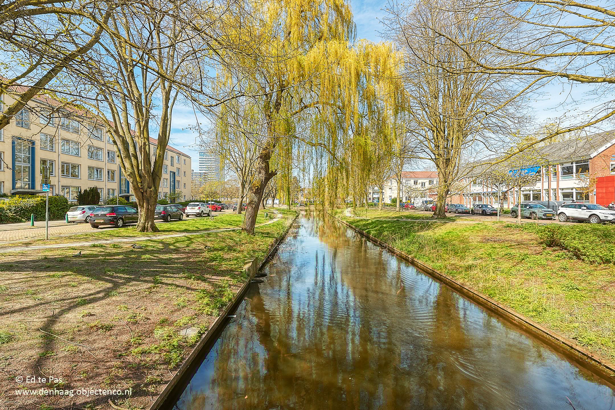 Photo 42 of Citerstraat 3-J