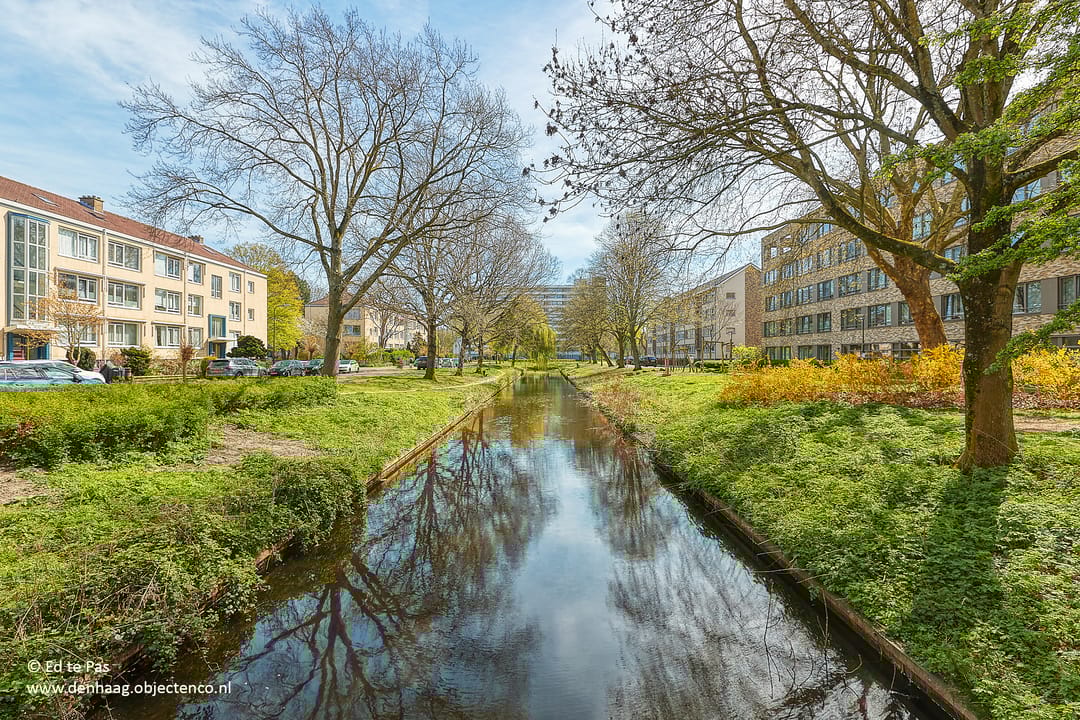 Photo 43 of Citerstraat 3-J