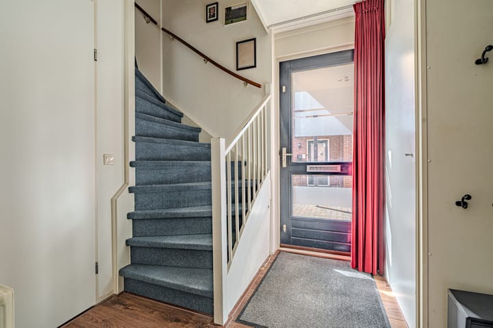 Foto 5 van Dotterbloem 10