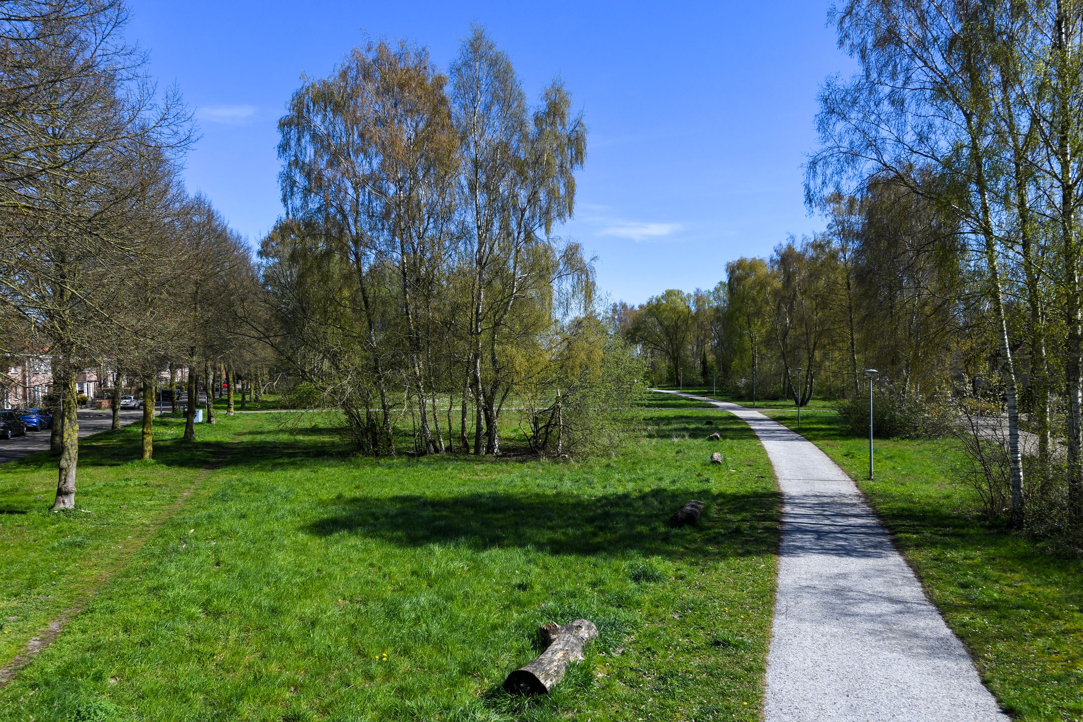 Photo 12 of Atalanta 49