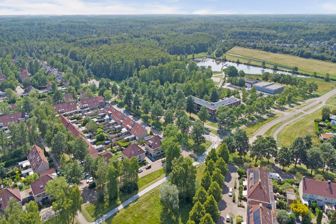 Photo 41 of Atalanta 49