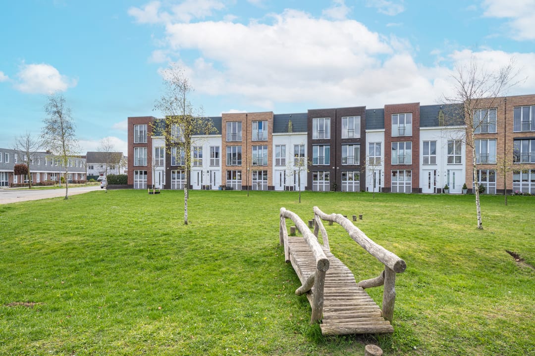 Photo 1 of Grote Parelmoervlinder 6