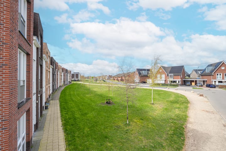 Foto 4 van Grote Parelmoervlinder 6