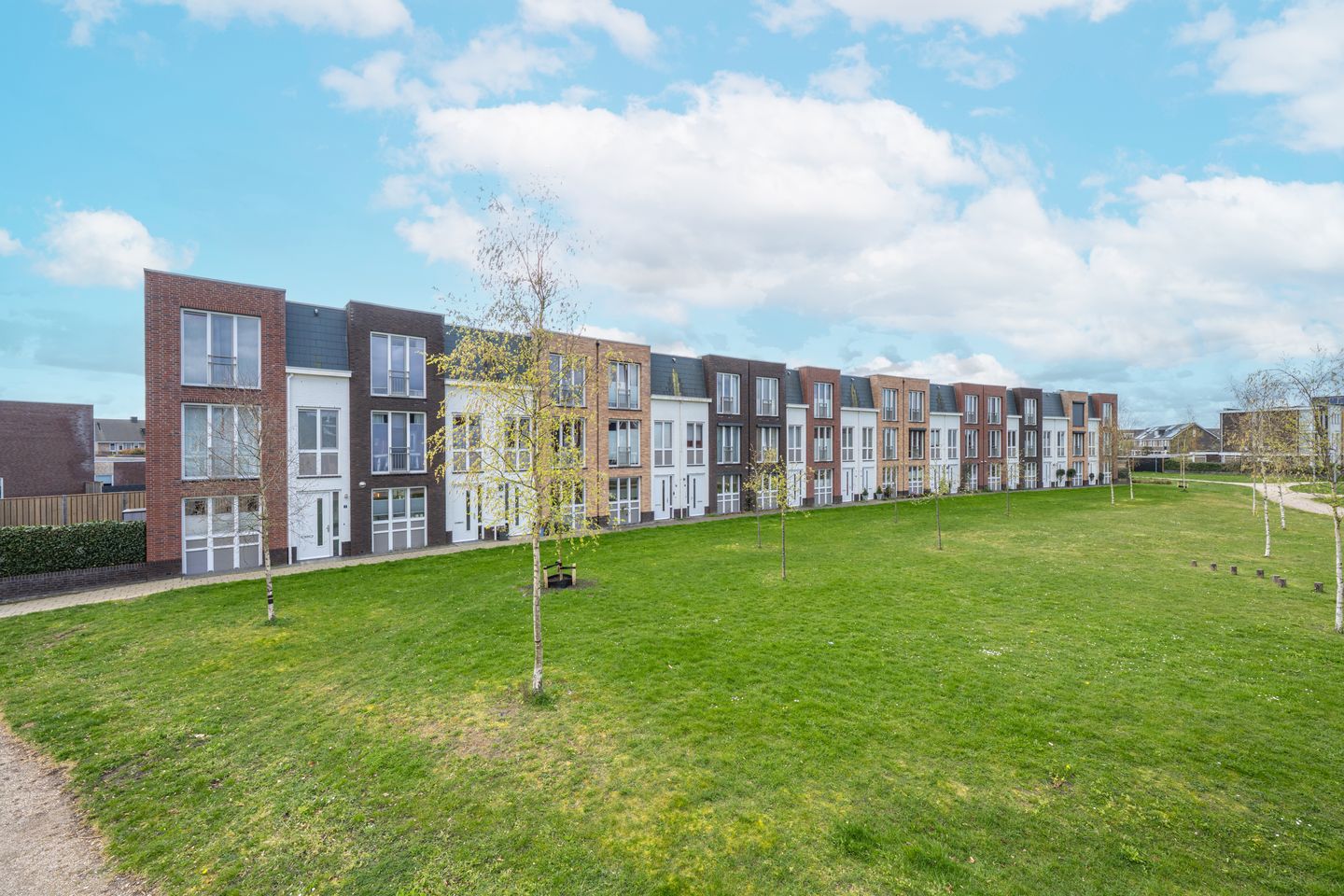 Photo 5 of Grote Parelmoervlinder 6