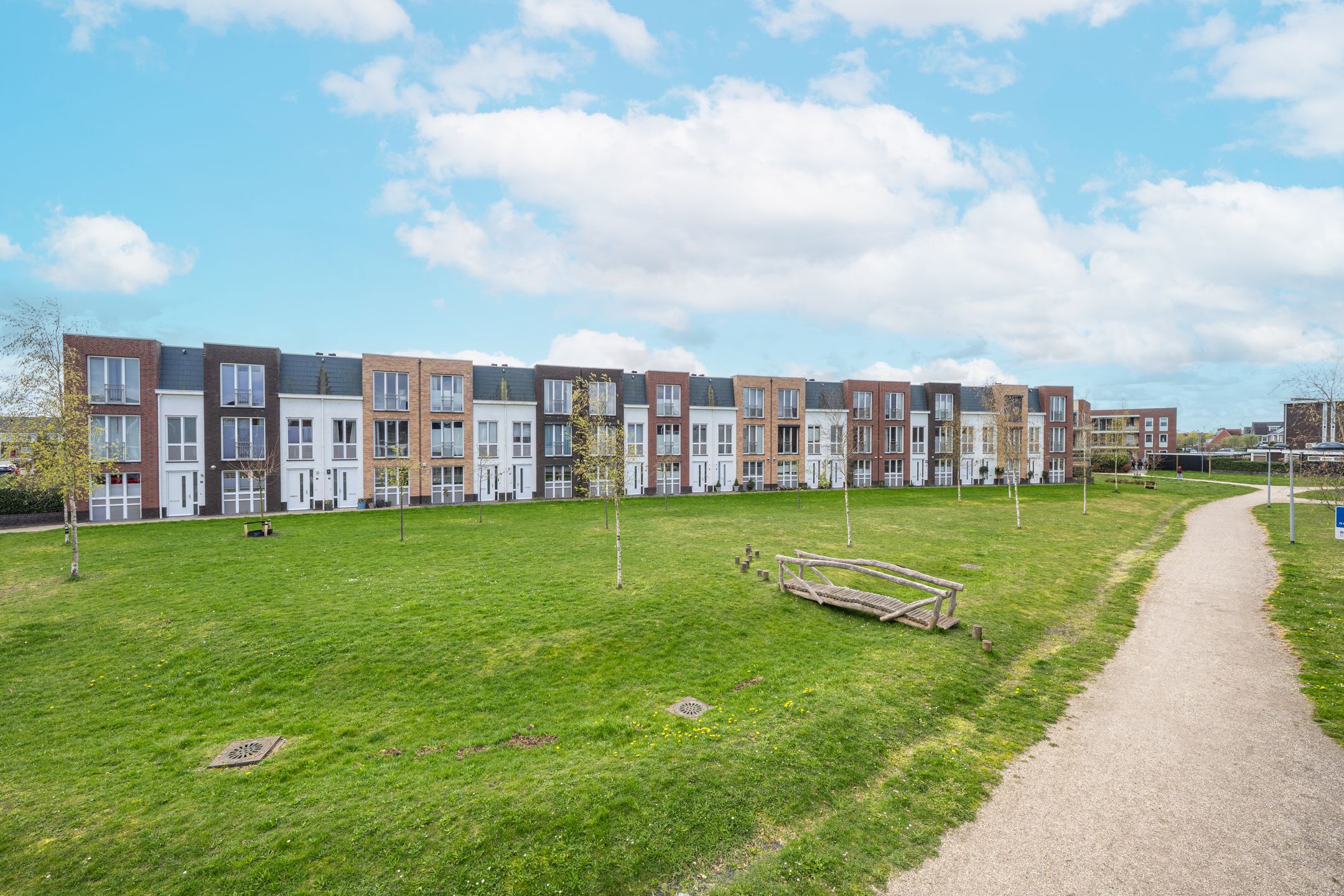 Photo 6 of Grote Parelmoervlinder 6