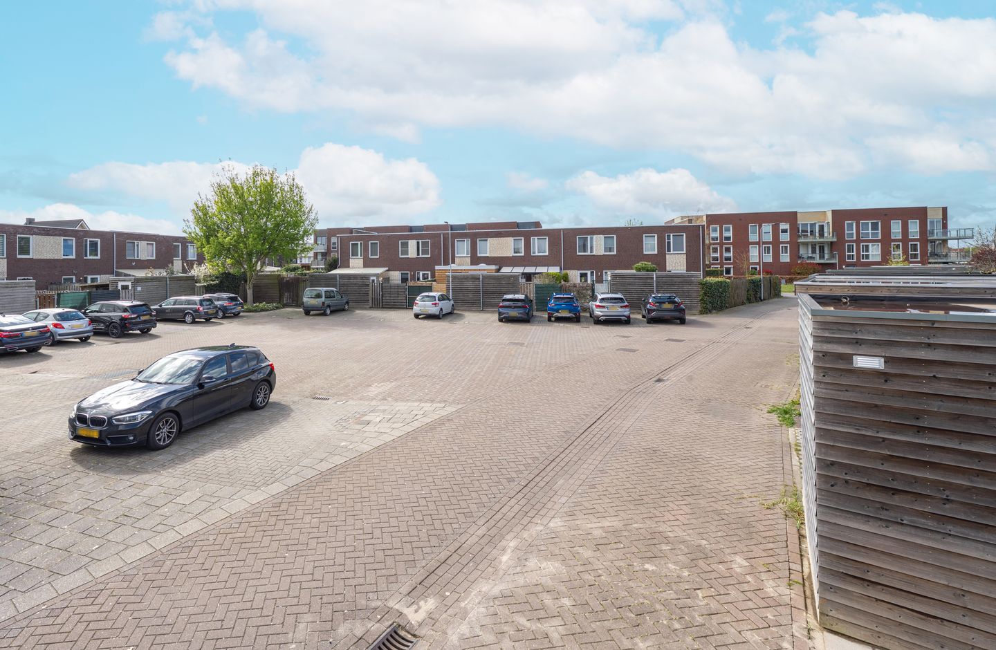 Photo 34 of Grote Parelmoervlinder 6