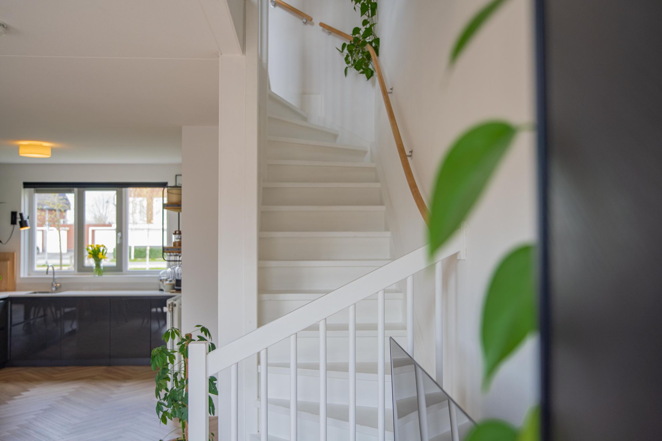 Photo 36 of Grote Parelmoervlinder 6