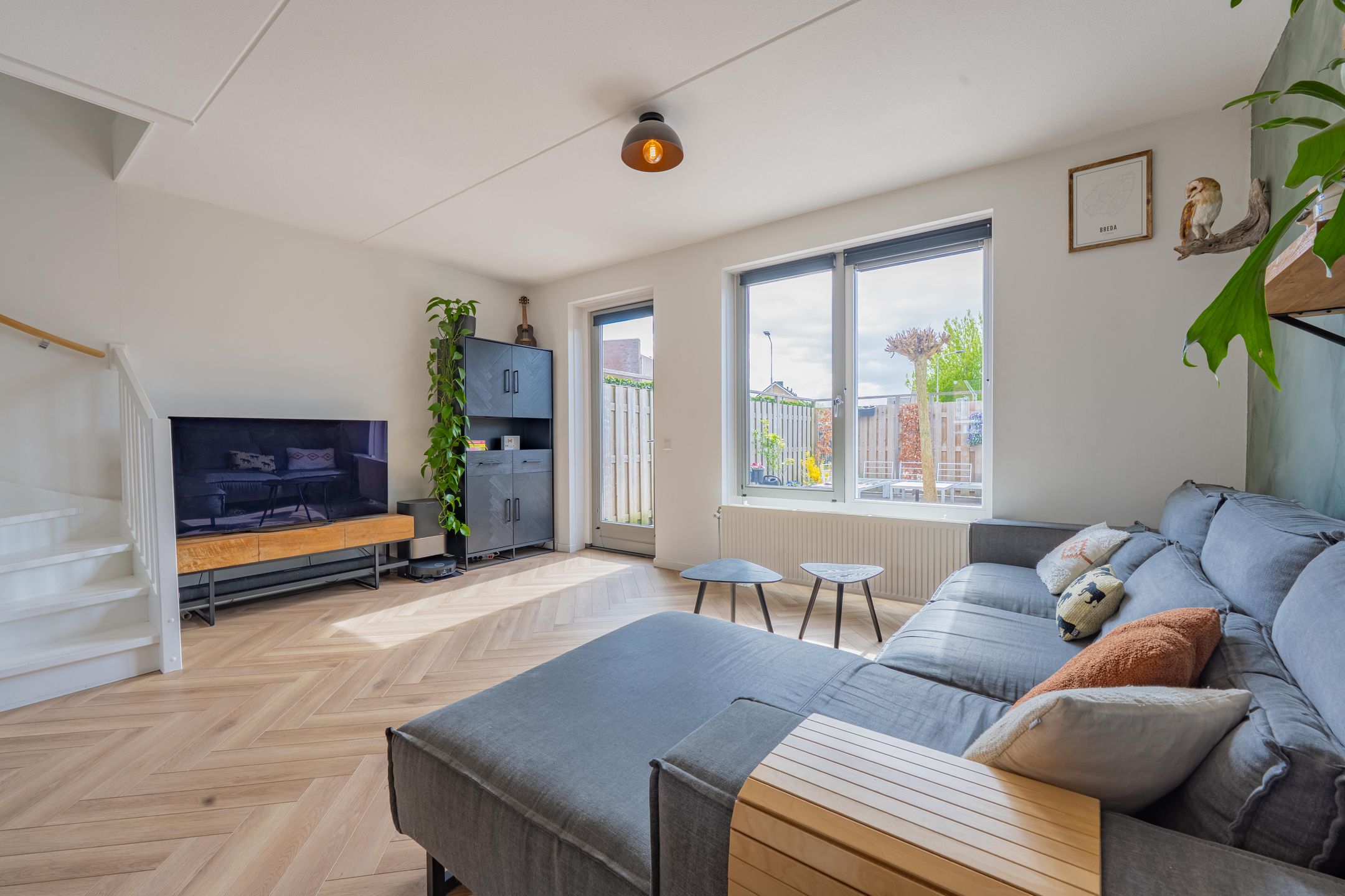 Photo 24 of Grote Parelmoervlinder 6