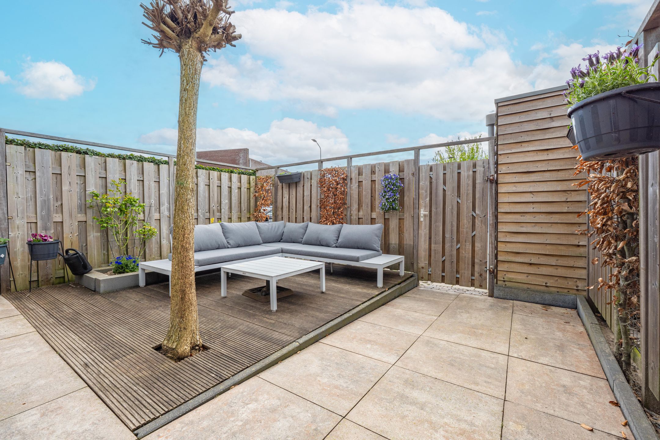 Photo 27 of Grote Parelmoervlinder 6