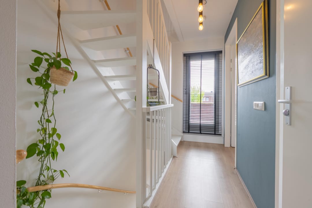 Photo 37 of Grote Parelmoervlinder 6