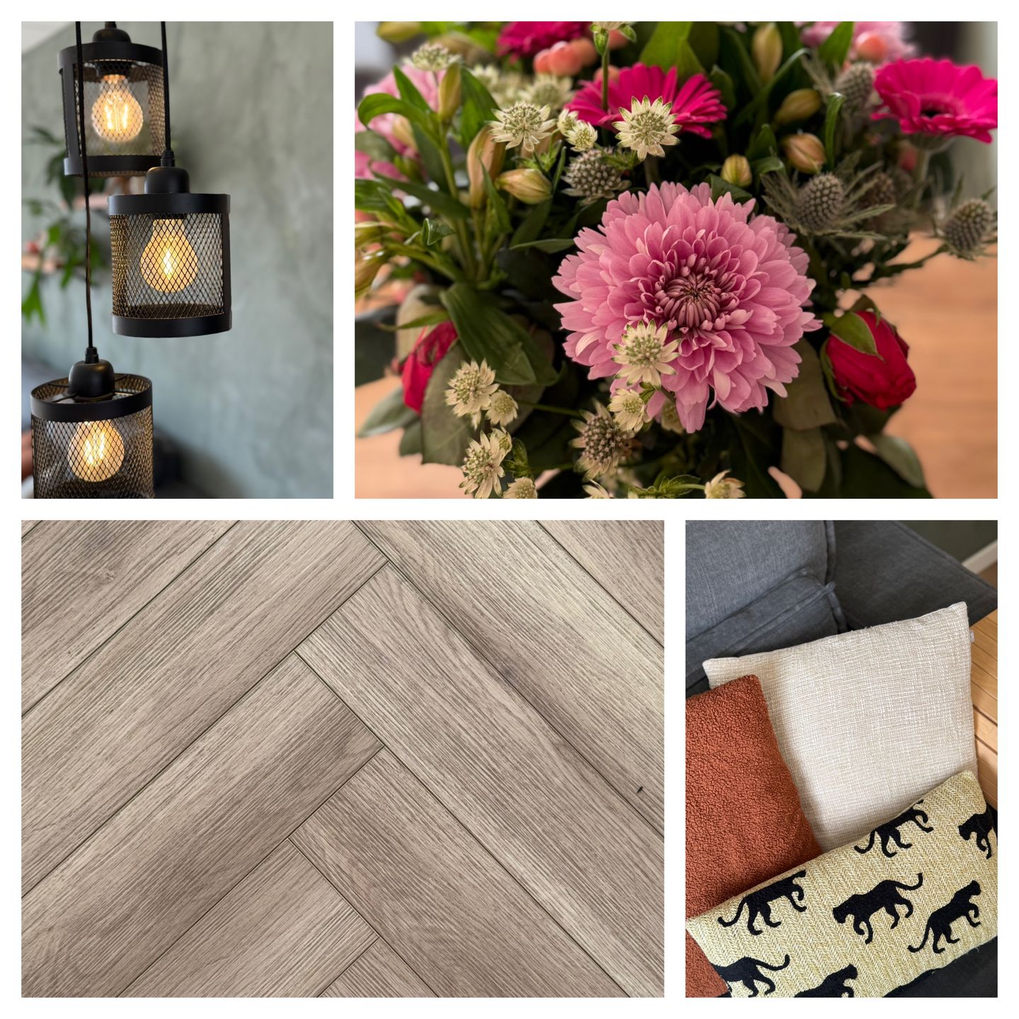 Photo 20 of Grote Parelmoervlinder 6