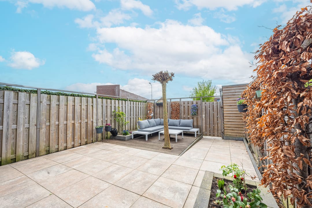 Photo 26 of Grote Parelmoervlinder 6